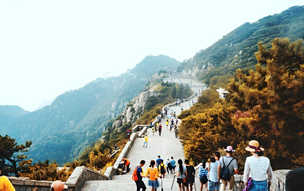 Domestic And International Packages Made Easy